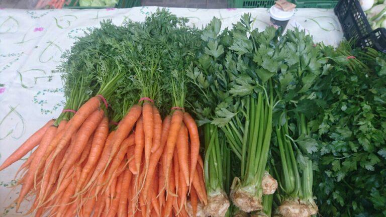 Kakovostna domača zelenjava Maribor