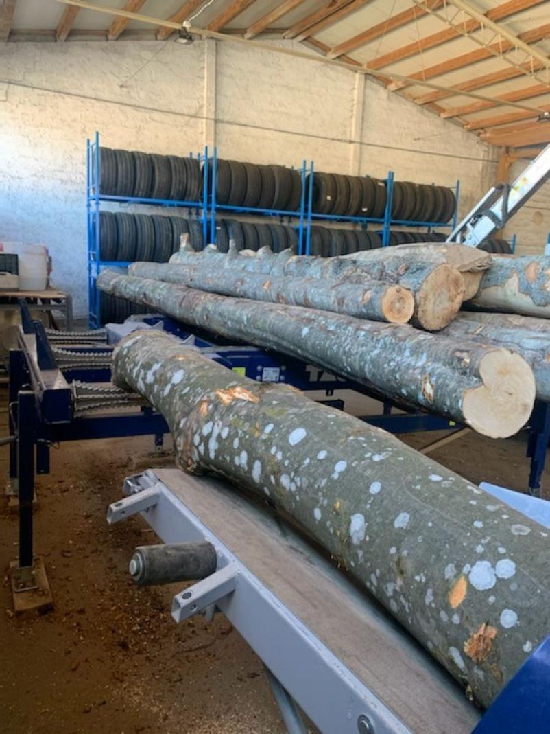 Odkup in prodaja lesa