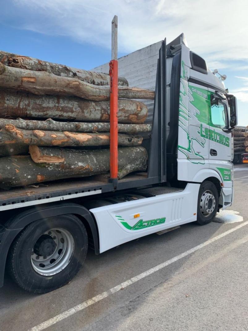 Ugodna prodaja lesa Slovenija