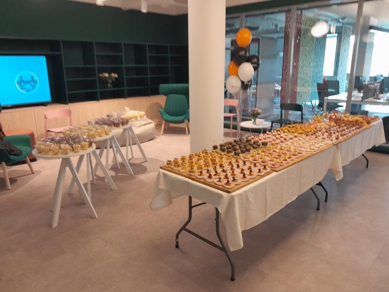 Organizacija piknikov