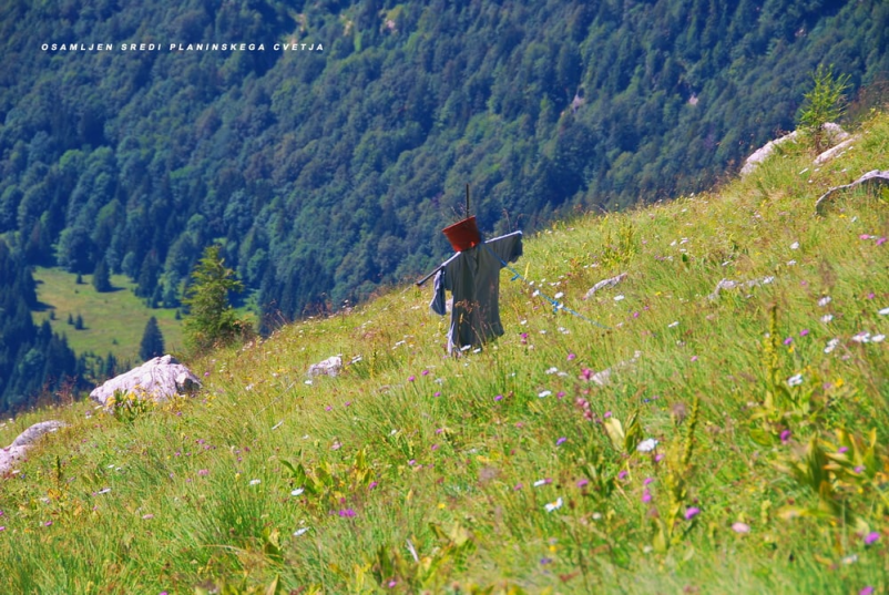 Planinski izleti Kočevje