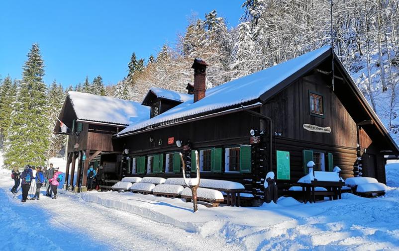 Organizacija izletov Kočevje