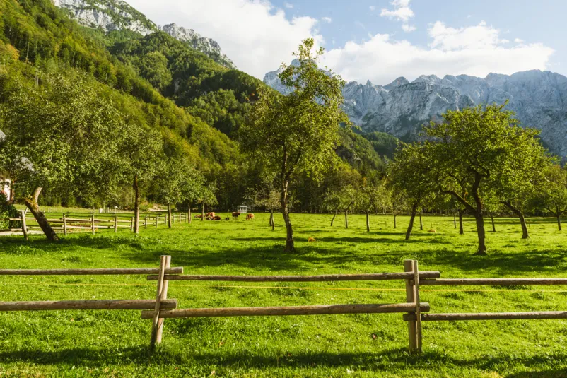 Ugodno prenočišče na Planini pod Pokljuko