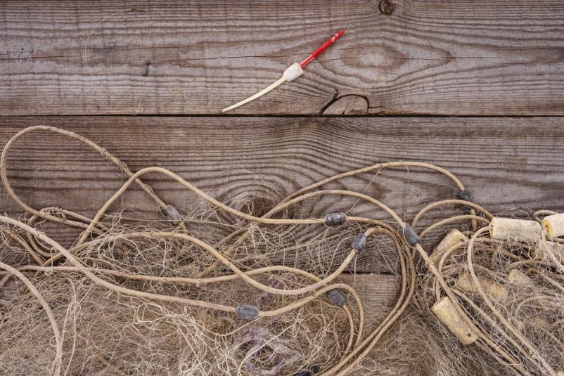 tekmovanje v ribolovu