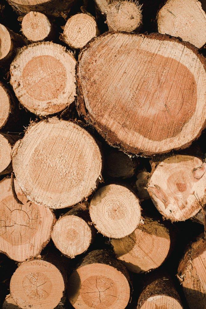 Entdecken Sie die Vielfalt und Qualität des slowenischen Holzes mit Brin