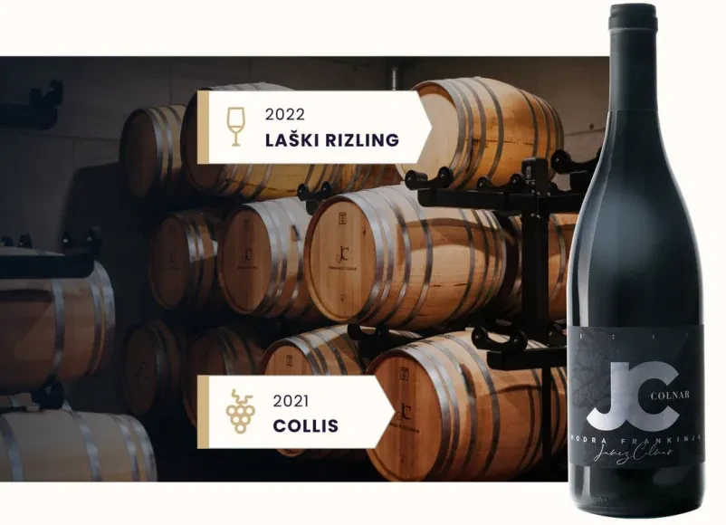 Vinska klet, degustacije dolenjskih vin Otočec