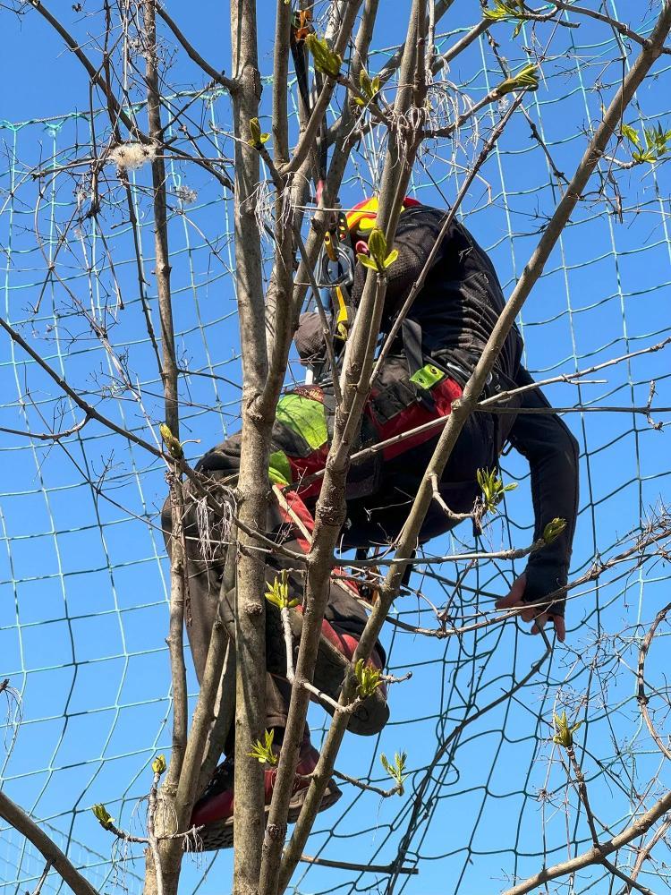 Smo strokovno usposobljeni za profesionalna višinska dela
