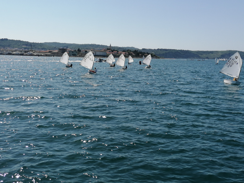 Šola jadranja Izola, Obala