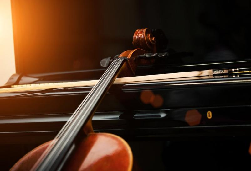 Zasebna glasbena šola Maestro, Gornja Radgona