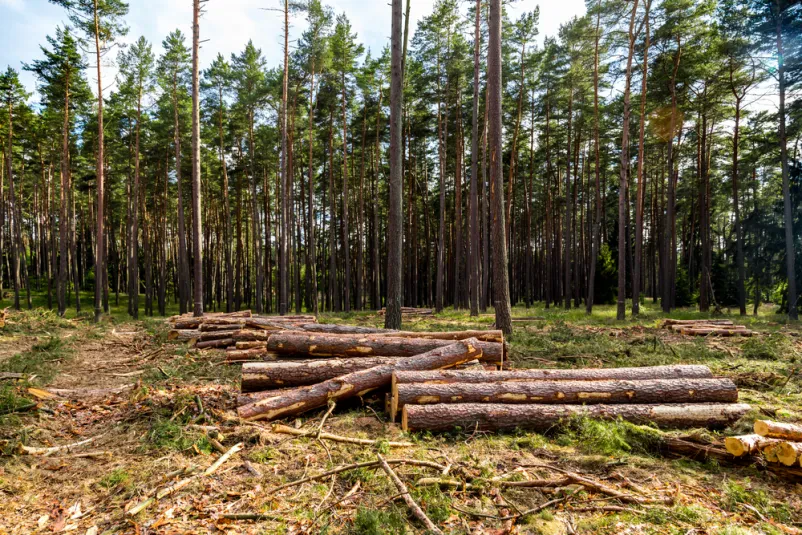 Agrarna skupnost Gorenjska
