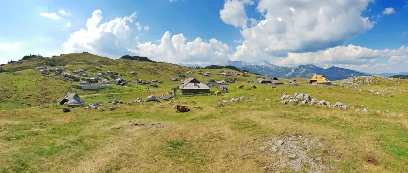 Agrarna vaška skupnost Gorenje Jezero, Cerknica