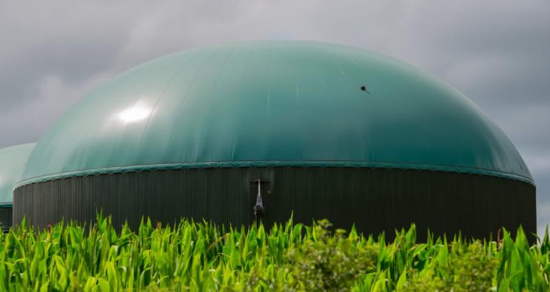 Biogasspeicher Produktion