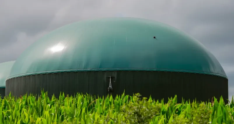 Biogasspeicher Produktion