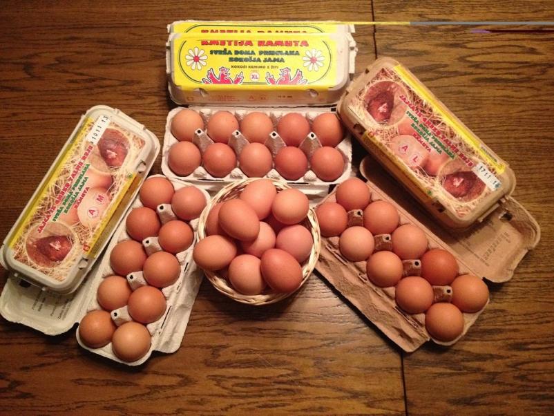 Kmetija z jajci Maribor