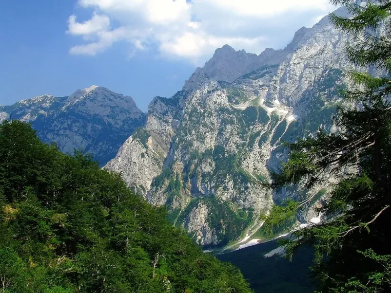 Planinsko društvo Celje vpis novih članov