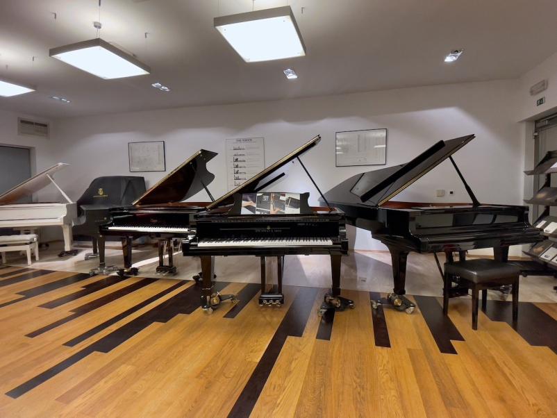 Servis glasbil Ljubljana, Osrednja Slovenija