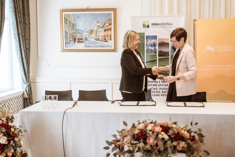 Regionalni razvoj Koroška