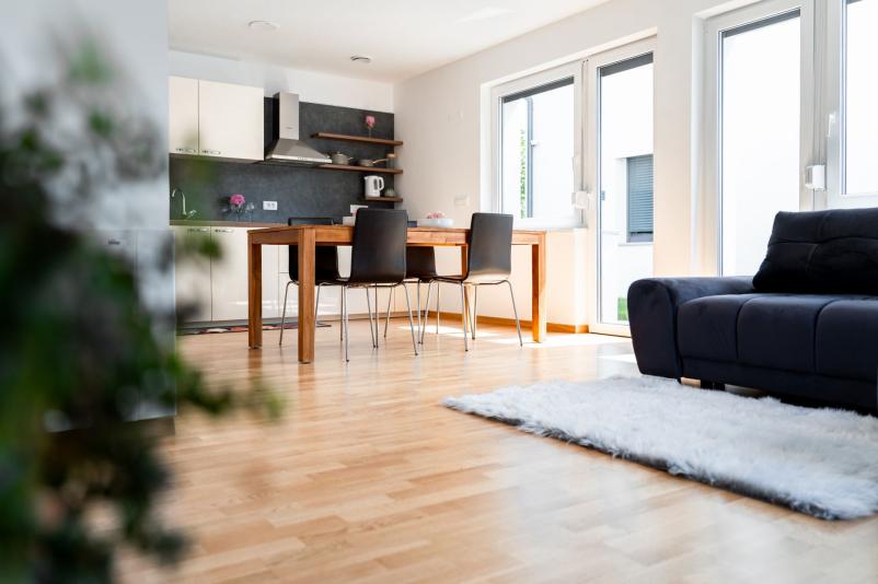 Luxury accommodation for rent near castle Bogenšperk