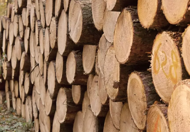 Žaganje lesa Tržič