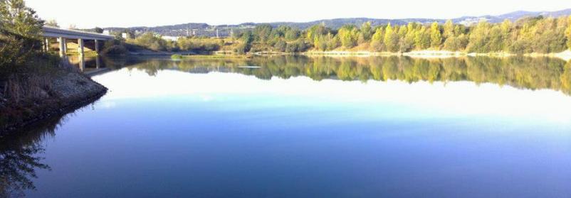 Ribiška dovolilnica Maribor