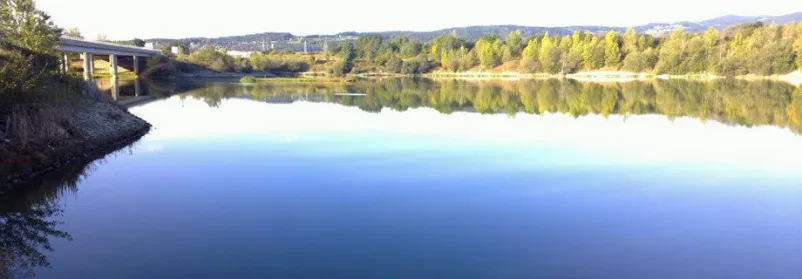 Ribiška dovolilnica Maribor