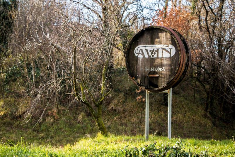 Vinarstvo AVIN Slovenija