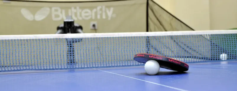 Vpis v Namiznoteniški klub Metlika, Bela krajina