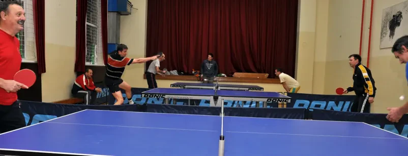 Trening ping ponga Metlika, Bela krajina