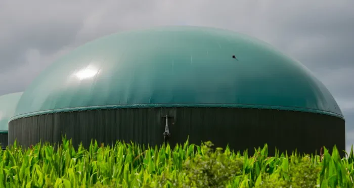 agrarna biomasa