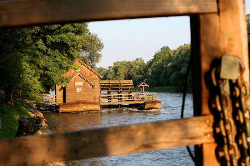 Otok ljubezni in splav na Muri