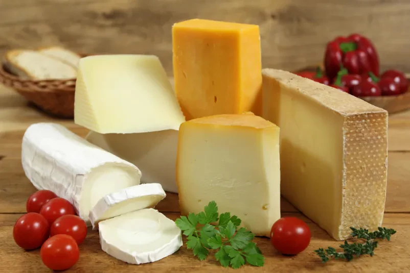 domači produkti iz kozjega mleka sir