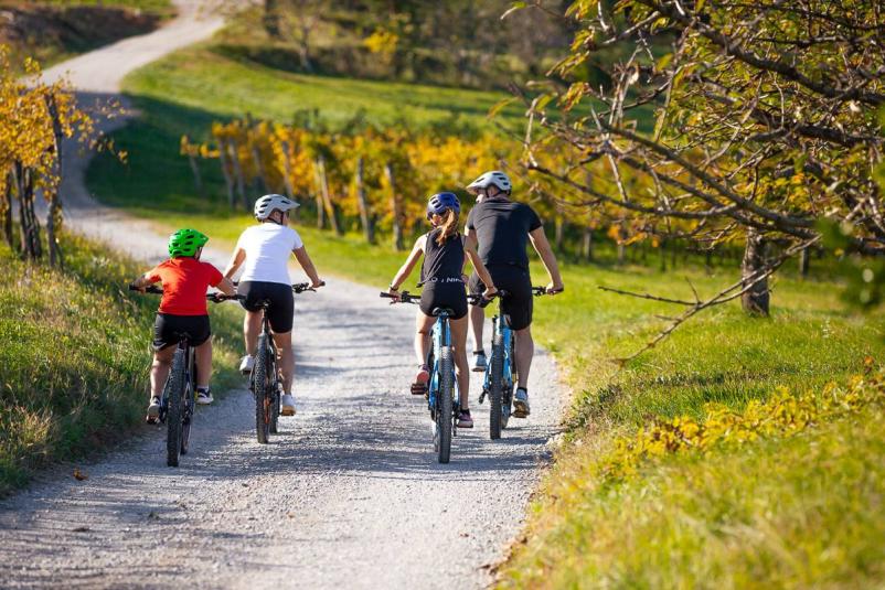  electric bike rental 