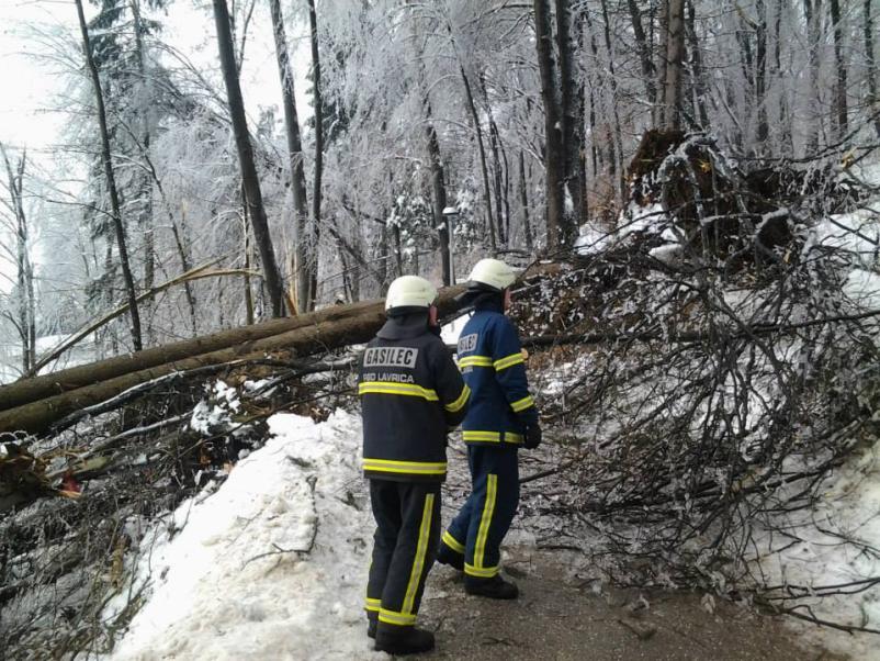 Prostovoljni gasilci Škofljica