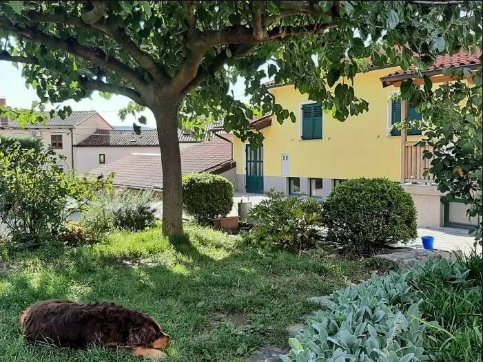 Ugoden ogled vinske kleti, Vipavska dolina