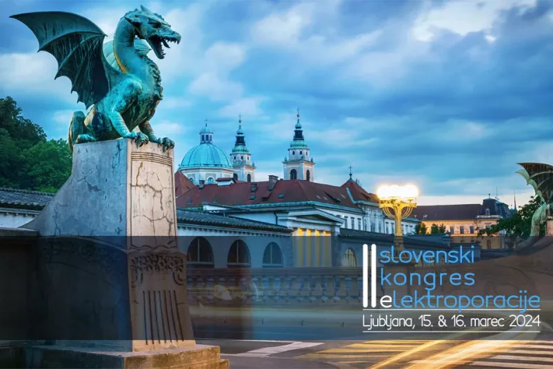 Organizacija konferenc za celotno Slovenijo in tuje države