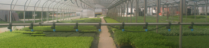 Postavljanje vrtnarskih namakalnih sistemov