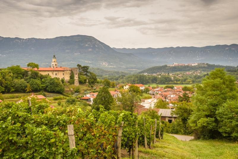 Vrhunsko vinogradništvo Slovenija