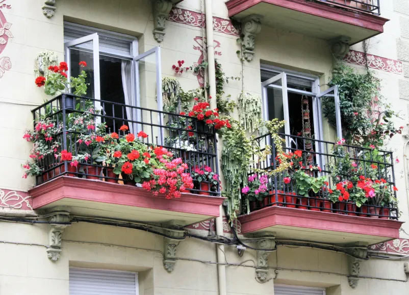 Balkonsko cvetje Ljubljana