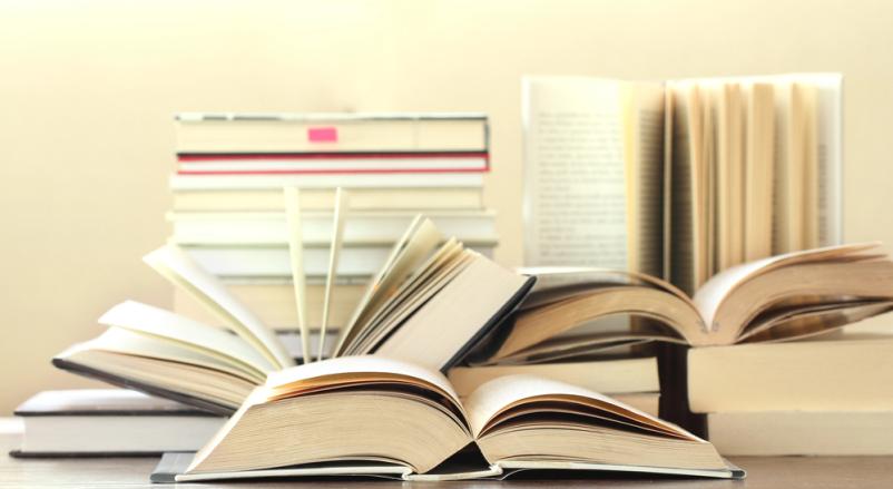 Bibliopedagoške ure za osnovnošolce Sevnica, okolica