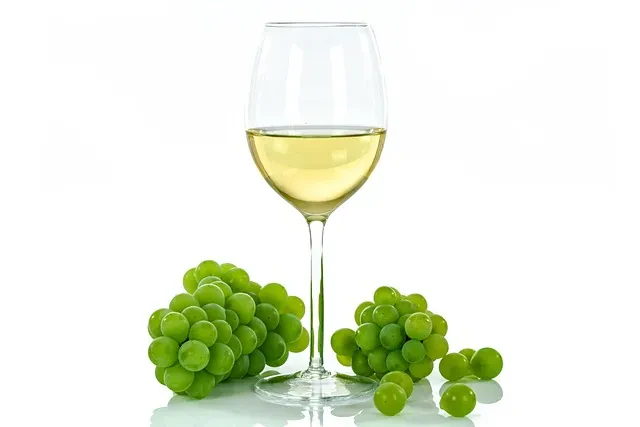 degustacija vina