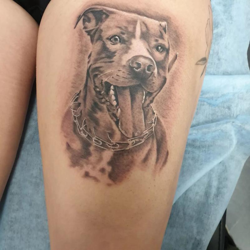 Dober tetover Maribor in okolica