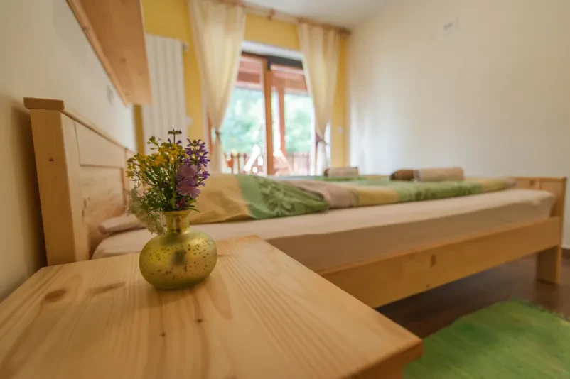 Hotel accommodation Soča valley, Tolmin