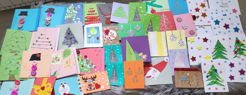 Osebna asistenca Ilirska Bistrica, Slovenija