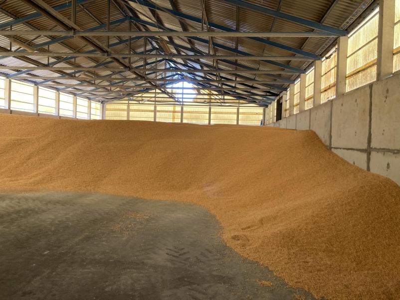 Prodaja repičnih tropin Slovenija, Italija