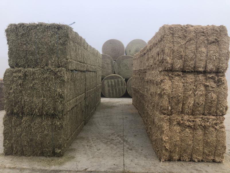 Prodaja krmil Slovenija