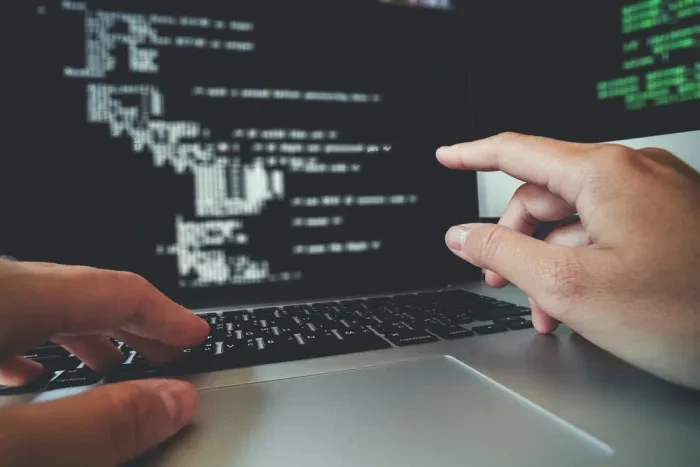 razvijalec programske opreme