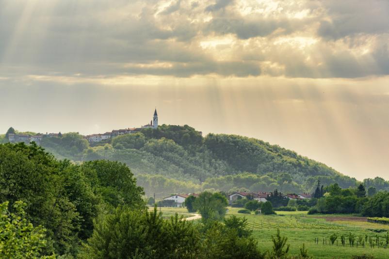 Rod Mladi bori Ajdovščina