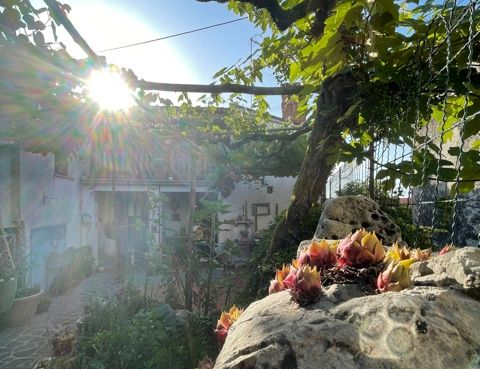 Rezervirajte ugoden apartma na Krasu