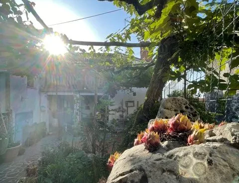 Rezervirajte ugoden apartma na Krasu