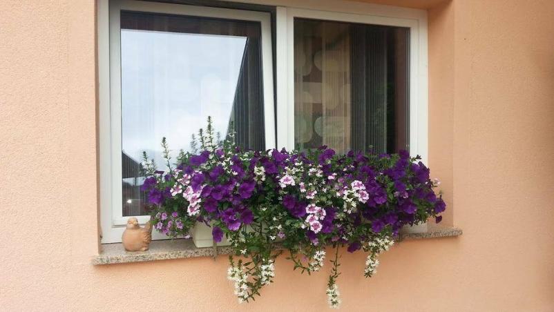 Košnja trave Ajdovščina